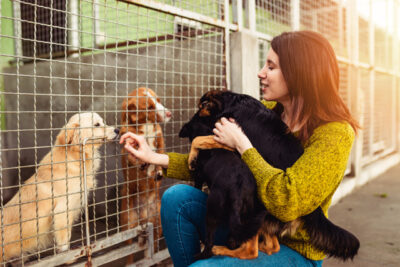 Young woman in dog shelter playing with dogs an choosing which one to adopt