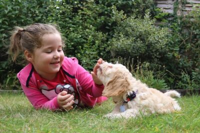 Girl playing with a Cockapoo