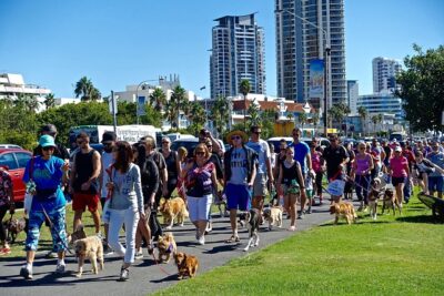 Dog Parade