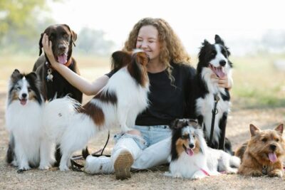 Papillon licking face of woman stroking Labrador Retriever in nature
