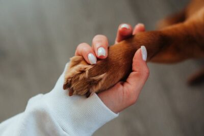 woman holding paw of dog