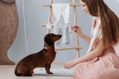 Woman training her dog using treats