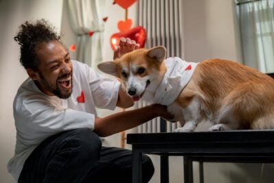 Dog wearing DIY Heart Shirt made by Owner