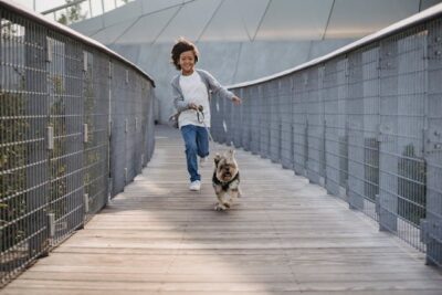 Yorkie running with its owner