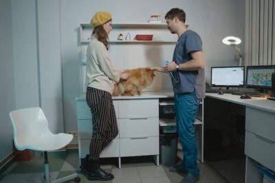 Pet Owner and Veterinarian Having a Conversation while Looking at the Pomeranian Dog