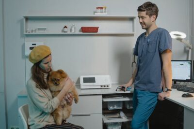 Pomeranian Inside a Veterinary Clinic