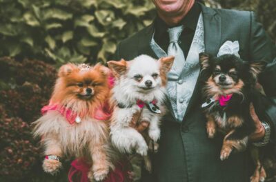 man holding various purebred dogs during outdoor party in garden