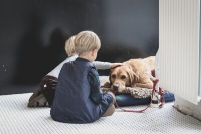 best dogs for kids